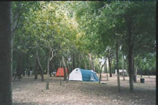 Photo of the campground El Molino, Las Toninas, Buenos Aires, Argentina