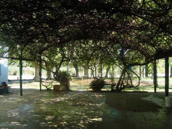Foto del camping La Primavera, Campana, Buenos Aires, Argentina