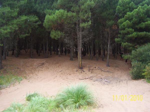 Foto del camping Marisol, Balneario Marisol, Buenos Aires, Argentina