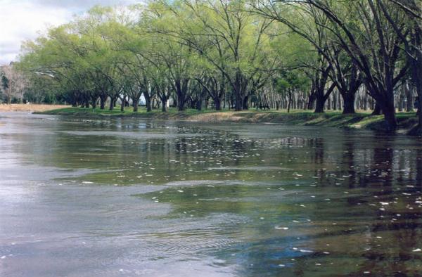 Foto del camping Municipal Arroyo Gualicho, Las Flores, Buenos Aires, Argentina