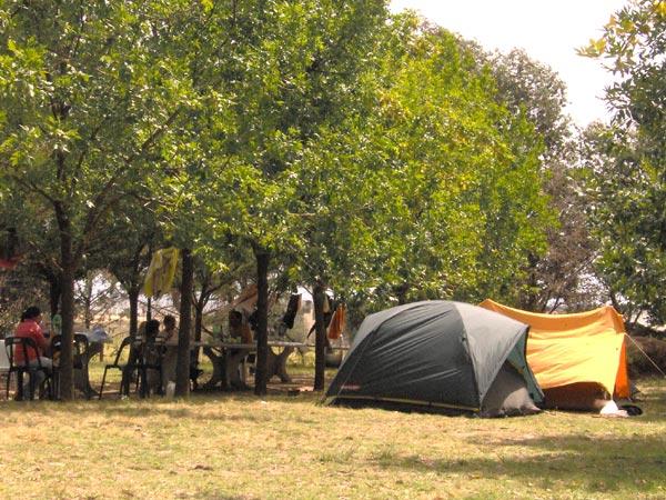 Foto del camping Nicolás Levalle, Carhué, Buenos Aires, Argentina