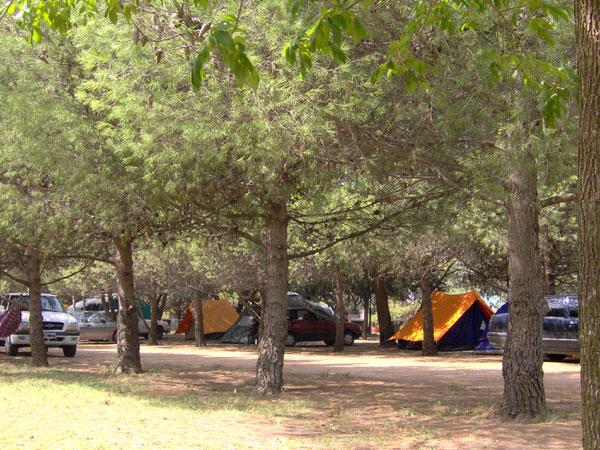 Foto del camping Nicolás Levalle, Carhué, Buenos Aires, Argentina