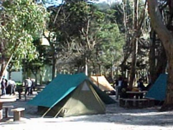 Photo of the campground ACA, San Clemente del Tuyú, Buenos Aires, Argentina