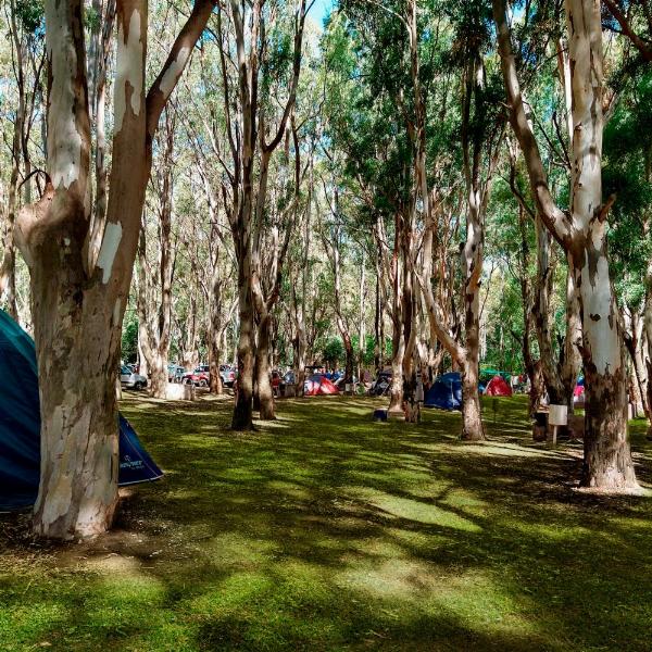 Foto del camping Americano, Monte Hermoso, Buenos Aires, Argentina