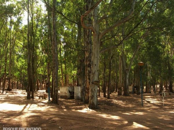 Foto del camping Bosque Encantado, Pehuen Có, Buenos Aires, Argentina