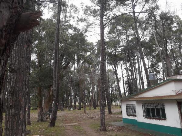 Photo of the campground Dimitri, San Bernardo, Buenos Aires, Argentina