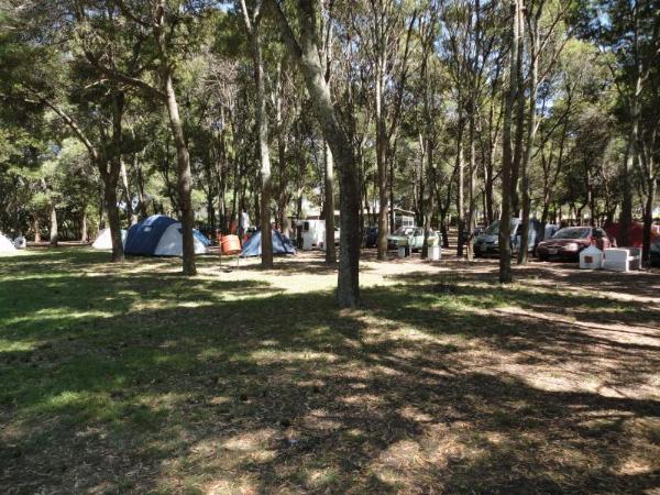 Foto del camping Los Horneros, Mar del Plata - Chapadmalal, Buenos Aires, Argentina