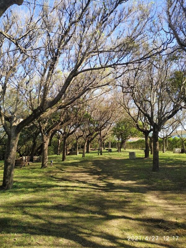 Foto del camping Monte Pasubio, Necochea, Buenos Aires, Argentina