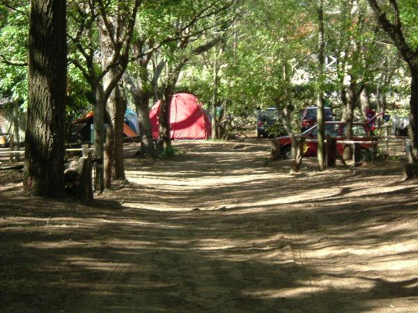Foto del camping Ostende, Ostende, Buenos Aires, Argentina