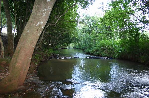 Photo of the campground Don Raúl, Puerto Rico, Misiones, Argentina