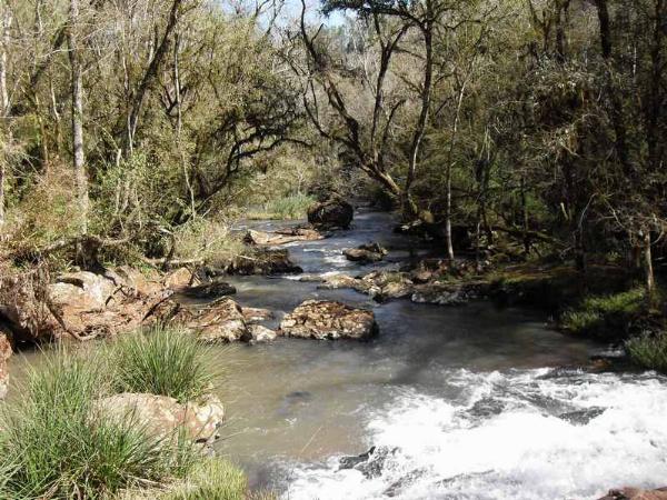 Foto del camping Piedras Blancas, Aristóbulo del Valle, Misiones, Argentina