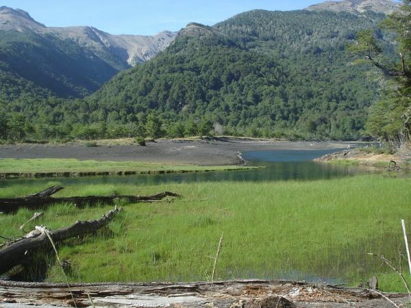 Photo of the campground Curruhué Grande, Lago Curruhué, Neuquén, Argentina
