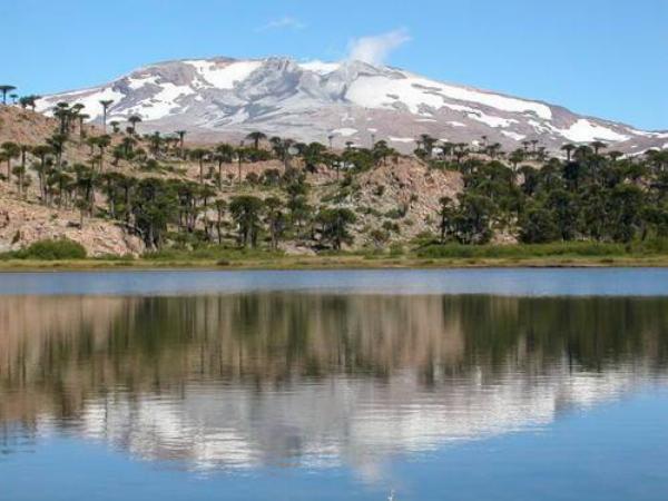Photo of the campground Hueney, Caviahue, Neuquén, Argentina