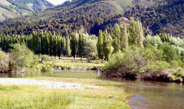 Foto del camping Lago Filo Hua Hum, Lago Filo Hua Hum, Neuquén, Argentina