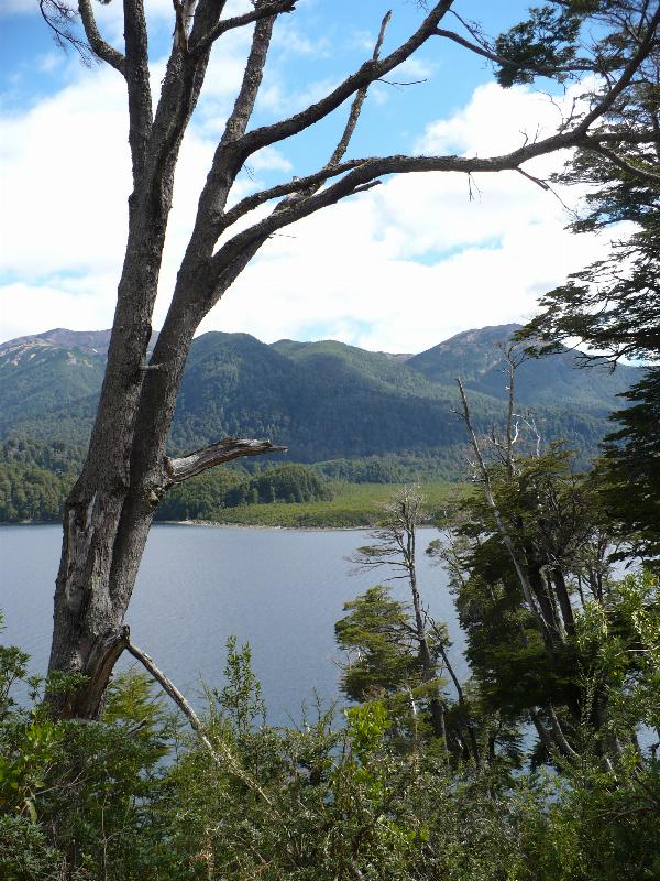 Photo of the campground Lago Villarino, Lago Villarino, Neuquén, Argentina
