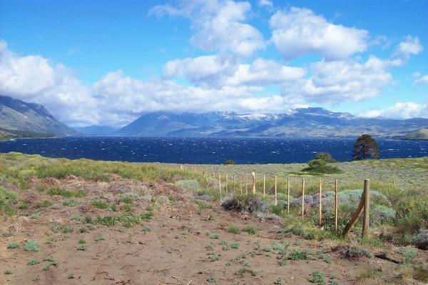 Photo of the campground Los Coihues, Lago Huechulafquen, Neuquén, Argentina