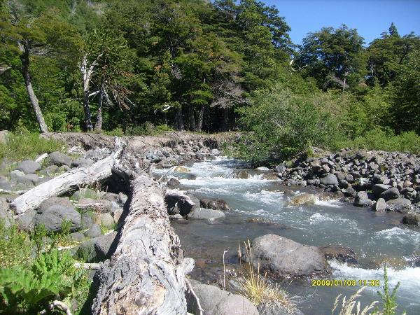Photo of the campground Piedra Mala, Junín de los Andes, Neuquén, Argentina