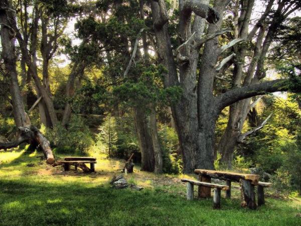 Photo of the campground El Vado de Pancho, Lago Meliquina, Neuquén, Argentina