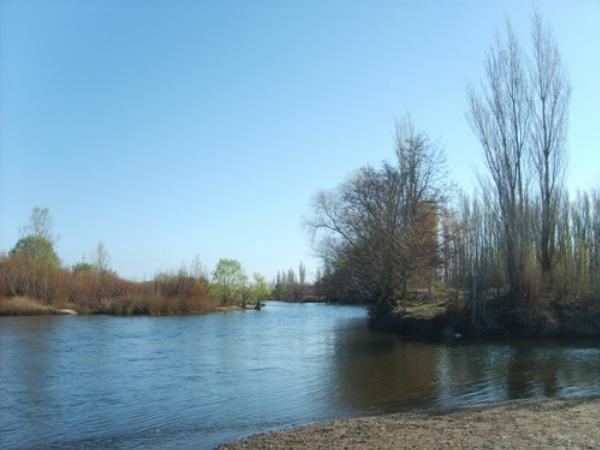 Photo of the campground Municipal, Senillosa, Neuquén, Argentina