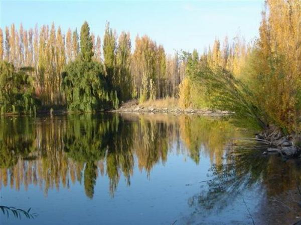 Photo of the campground Municipal, Senillosa, Neuquén, Argentina