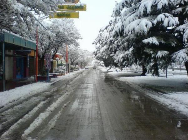 Photo of the campground Municipal, Zapala, Neuquén, Argentina