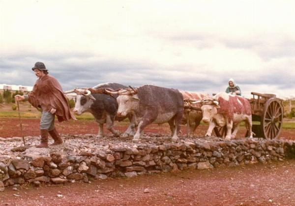 Photo of the campground Parque Nacional Laguna Blanca, Zapala, Neuquén, Argentina
