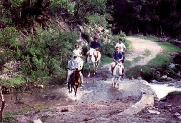 Foto del camping Don Goyo, Potrero de los Funes, San Luis, Argentina