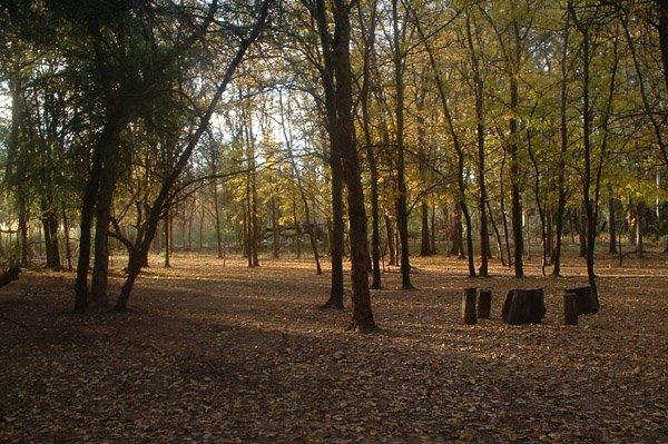 Photo of the campground La Serrana, Nogolí, San Luis, Argentina