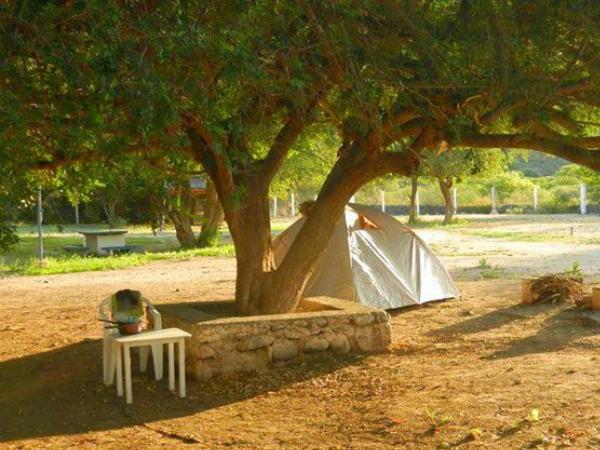 Foto del camping Valle Extremo, San Agustín de Valle Fértil, San Juan, Argentina