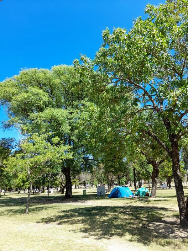 Photo of the campground Municipal Intendente Bertero, Esperanza, Santa Fé, Argentina