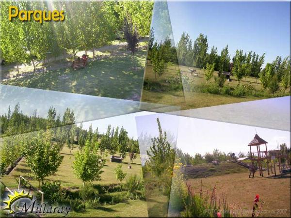 Photo of the campground Millaray, San Carlos, Mendoza, Argentina