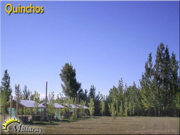 Photo of the campground Millaray, San Carlos, Mendoza, Argentina