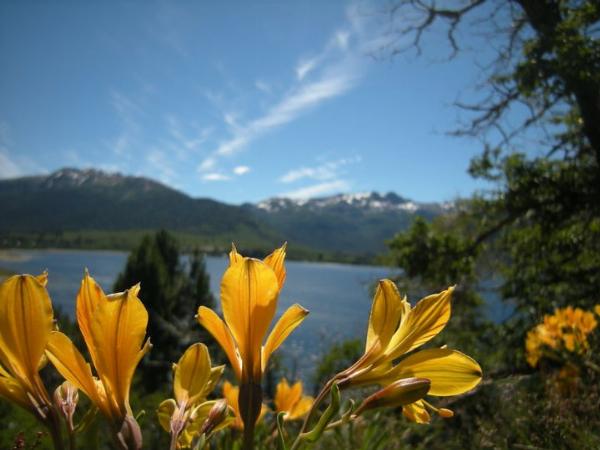 Photo of the campground Trenel, Moquehue, Neuquén, Argentina