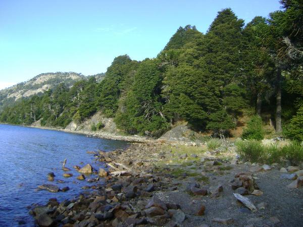 Photo of the campground Trenel, Moquehue, Neuquén, Argentina