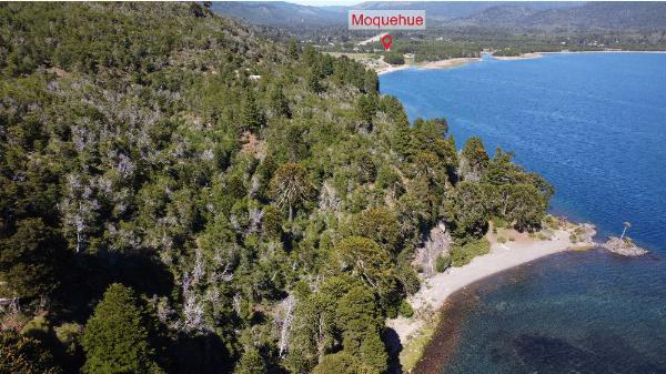 Foto del camping Trenel, Moquehue, Neuquén, Argentina
