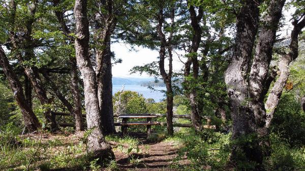 Foto del camping Trenel, Moquehue, Neuquén, Argentina