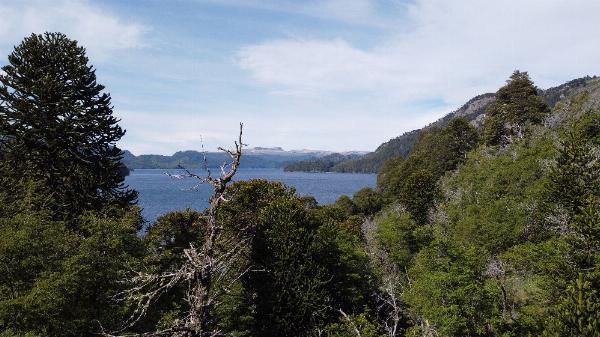 Foto del camping Trenel, Moquehue, Neuquén, Argentina