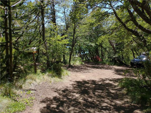 Foto del camping Trenel, Moquehue, Neuquén, Argentina