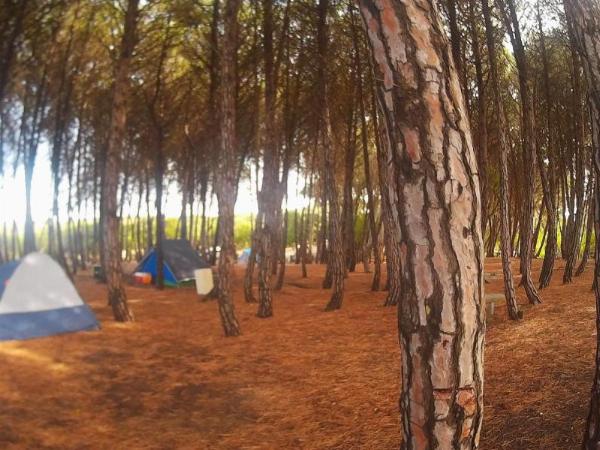 Photo of the campground Aldea de Mar, Arenas Verdes, Buenos Aires, Argentina