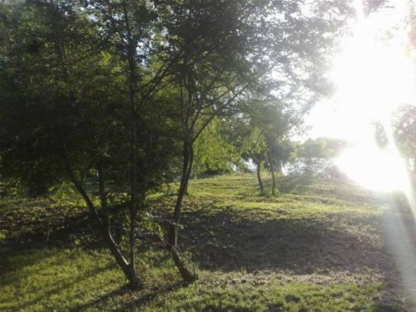Foto del camping El Dorado, Zárate, Buenos Aires, Argentina