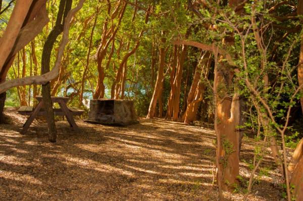 Photo of the campground Lago Verde, Parque Nacional Los Alerces, Chubut, Argentina