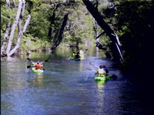 Foto del camping Ave Fénix, El Bolsón, Río Negro, Argentina