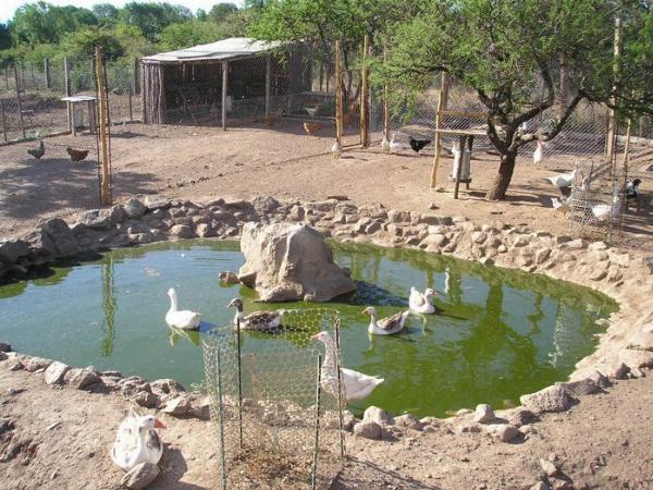Photo of the campground Los Frutales, Los Reartes, Córdoba, Argentina