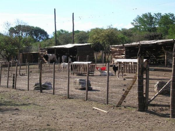 Photo of the campground Los Frutales, Los Reartes, Córdoba, Argentina