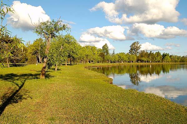 Foto del camping Municipal, Colón, Buenos Aires, Argentina