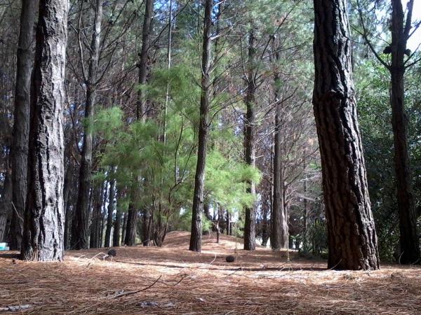 Foto del camping Peloponeso, Orense, Buenos Aires, Argentina