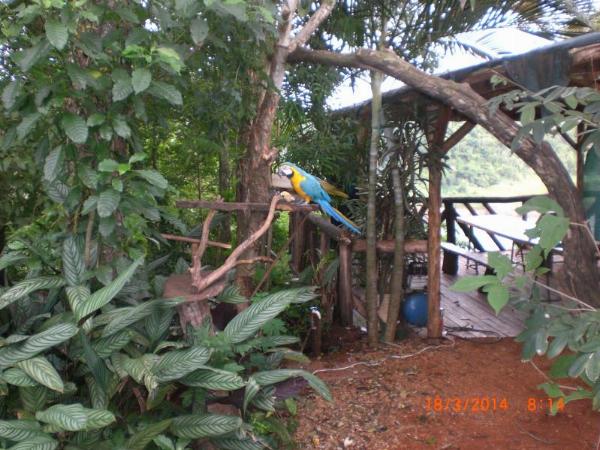 Foto del camping Agreste Costa Ramón, Puerto Iguazú, Misiones, Argentina