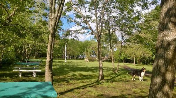 Foto del camping Bahía, Punta Lara, Buenos Aires, Argentina