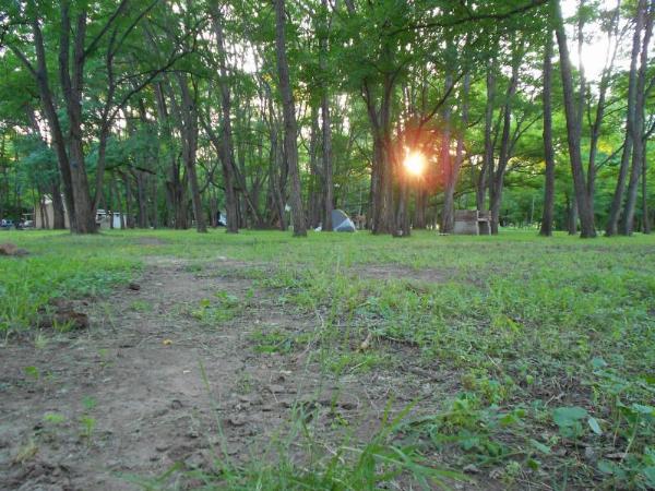Photo of the campground El Bosque, Nono, Córdoba, Argentina