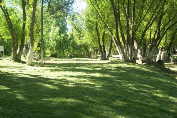 Photo of the campground Los Alazanes, Centenario, Neuquén, Argentina
